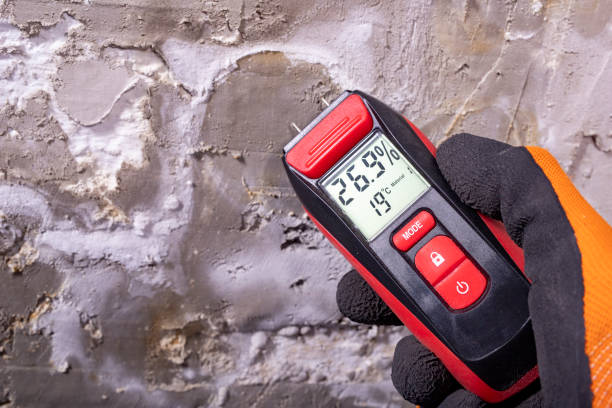 Best Black Mold Removal  in New Sarpy, LA