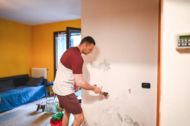 Reliable New Sarpy, LA Mold Removal Solutions